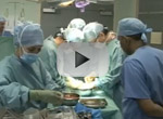 study-casts-new-light-on-organ-donation