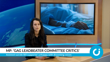 CI News Bulletin