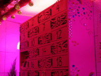 Polish activists launch world’s first ‘parcel locker’ for abortion pills
