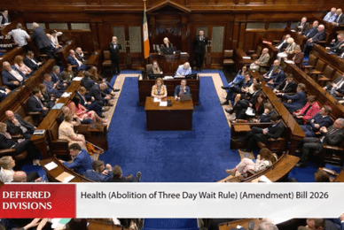 Dáil passes Sinn Féin Bill to end key abortion safeguard