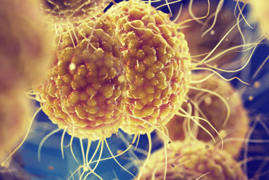 Sexually transmitted infections – the new ‘normal’