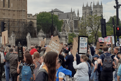 Home education protesters call out state overreach