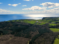 Study finds widespread cocaine pollution in NI rivers and lakes