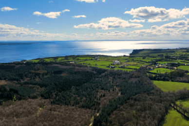 Study finds widespread cocaine pollution in NI rivers and lakes