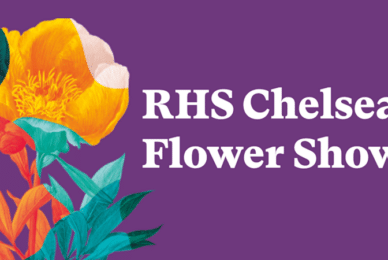 ‘Soft porn’ to be peddled at RHS Chelsea Flower Show