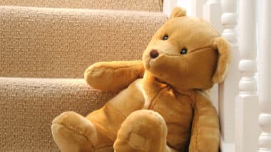 Teddy bear