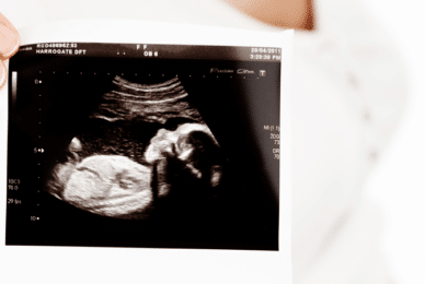 CI: ‘Fertility treatment undermining family’