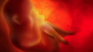 Baby in womb