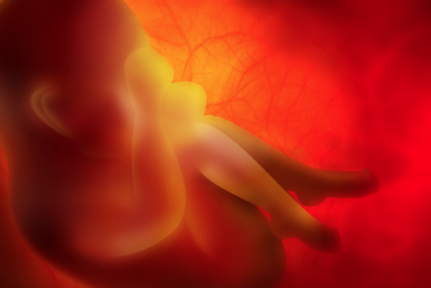 SNP adopts ‘inhumane’ pledge to make abortion a constitutional right
