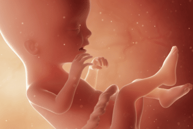Preborn with rare heart defect now ‘happy and healthy’ baby boy