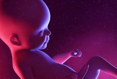 Abortion drops by over 99 per cent in Texas following Roe v Wade ruling