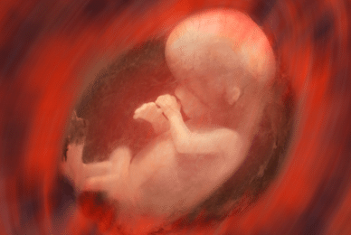 Scottish MPs push to follow England and Wales in liberalising abortion law