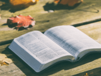 Sheffield Uni slaps ‘violent’ trigger warning on Gospel accounts