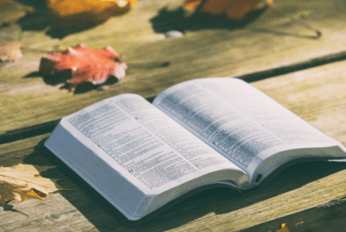 Sheffield Uni slaps ‘violent’ trigger warning on Gospel accounts