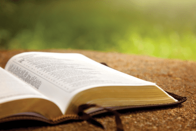 ‘Even the best AI misquotes Scripture’ says Bible app boss