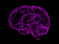 Tech translates brain patterns into sentences