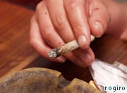 Cannabis arrests down by almost 50 per cent