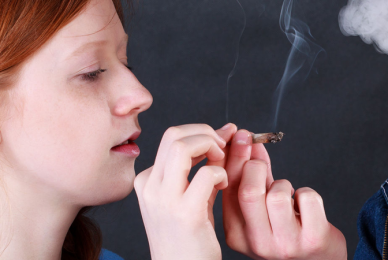 Harvard study highlights damage cannabis causes to young