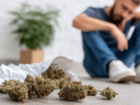 Cannabis users ‘playing Russian roulette with brain damage’