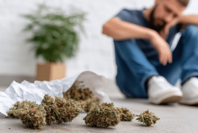 Cannabis users ‘playing Russian roulette with brain damage’