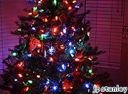 Christmas trees make minorities feel ‘excluded’