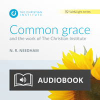 Common grace audiobook