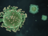 Coronavirus response: Some reasons to give thanks