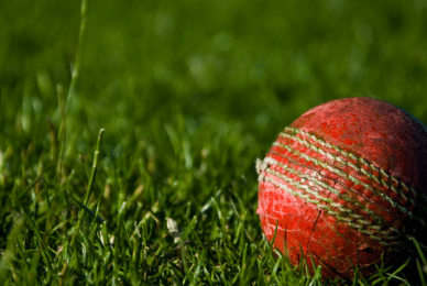 Cricket board ‘ignoring female cricketers while bowing to trans activists’