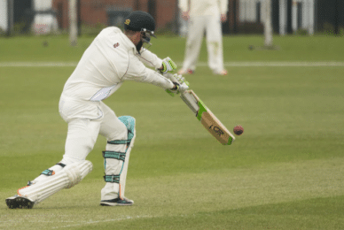 Cricketer hits gambling advertising for six