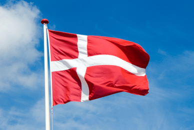 Alarm raised as Danish Govt plans to monitor foreign language sermons