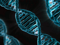 ‘Irresponsible’ US scientists back human gene editing