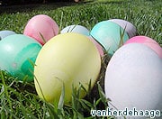 US: Word ‘Easter’ axed to make egg hunt ‘inclusive’