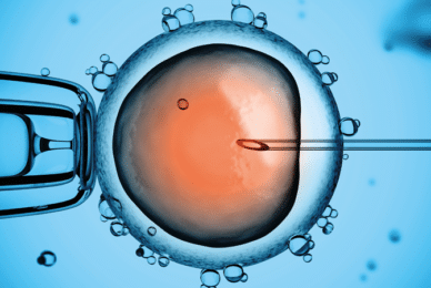Researchers push for IVF Down’s syndrome screening on NHS