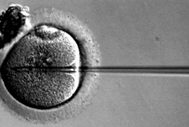 Scientists back longer experimentation on unborn babies
