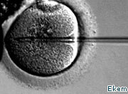 Scientists to create GM babies despite flawed DNA fears