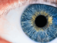 World’s first cornea transplant using adult stem cells