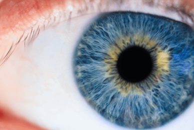 World’s first cornea transplant using adult stem cells