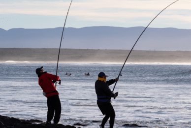 Anglers quit England’s ladies team after man is selected