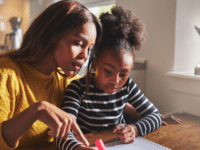 Peers challenge ‘intrusive surveillance’ of home-educated families
