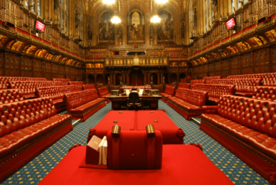 House of Lords hears how trans ideology in schools threatens safeguarding