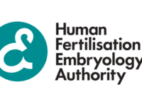 Fertility watchdog wants ethical ‘blank cheque’ on human embryo research