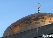 Muslim campaigner backs Bill tackling Sharia councils