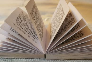 LGBT education push leaves Jews feeling forced out