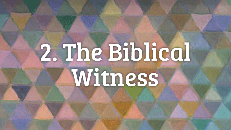 2. The Biblical Witness
