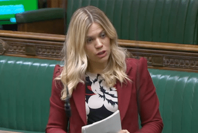 MP: ‘Mermaids’ unfettered access to vulnerable children must be investigated’