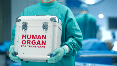 Human organ transplants