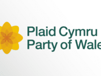 Plaid Cymru demands drugs decriminalisation