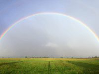 LGBT group complains about rainbow artwork inspired by lockdown