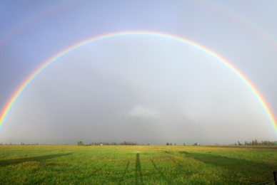 LGBT group complains about rainbow artwork inspired by lockdown