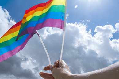 ‘My daughter fell down the transgender rabbit hole’